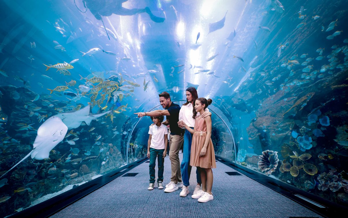 Family looking at the marine life in the shimmering waters of Dubai Aquarium and Underwater Zoo.