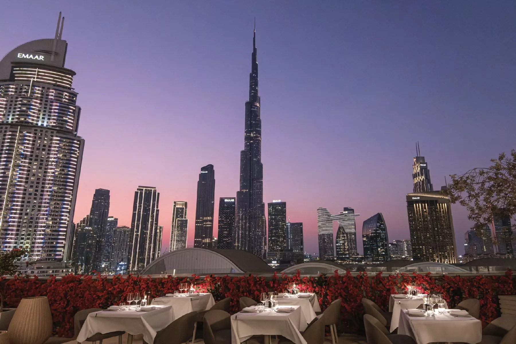 dine-image